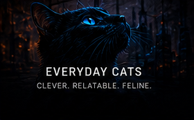 Everyday Cats