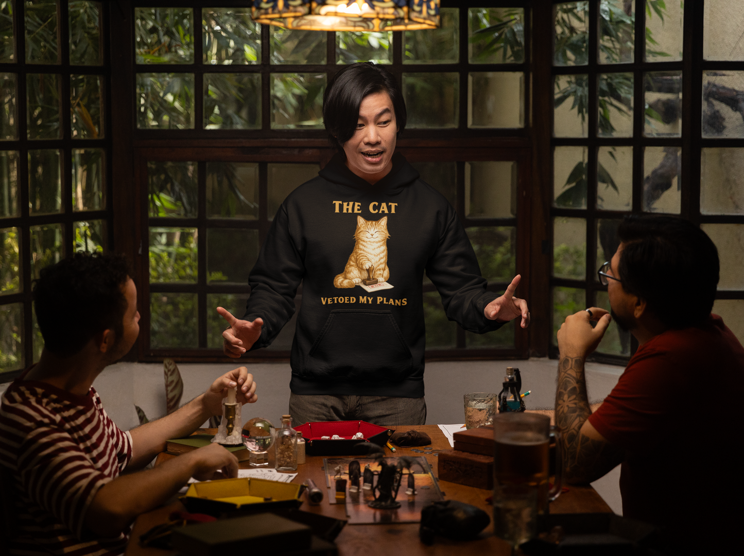 The Cat Vetoed My Plans | Hoodie