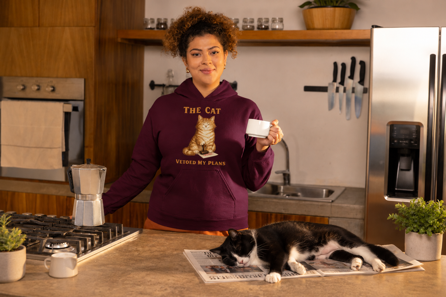 The Cat Vetoed My Plans | Hoodie